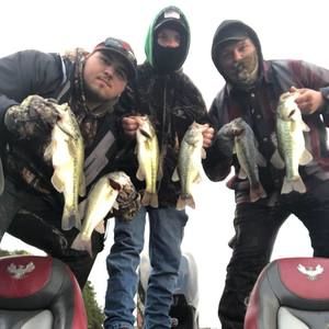 Meet your Posher, Bradley